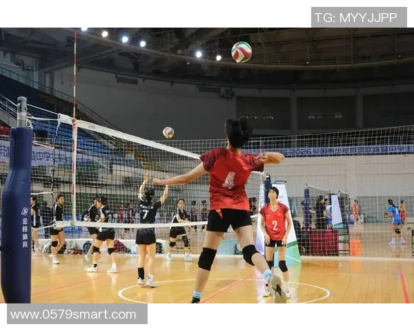 武汉排球队力压群雄创排球力量新高引发热议